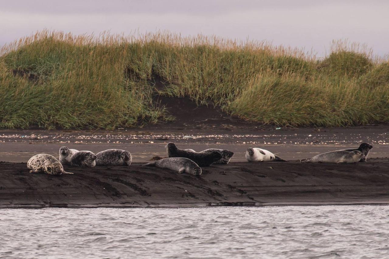 Sandur Þórshöfn Exteriér fotografie