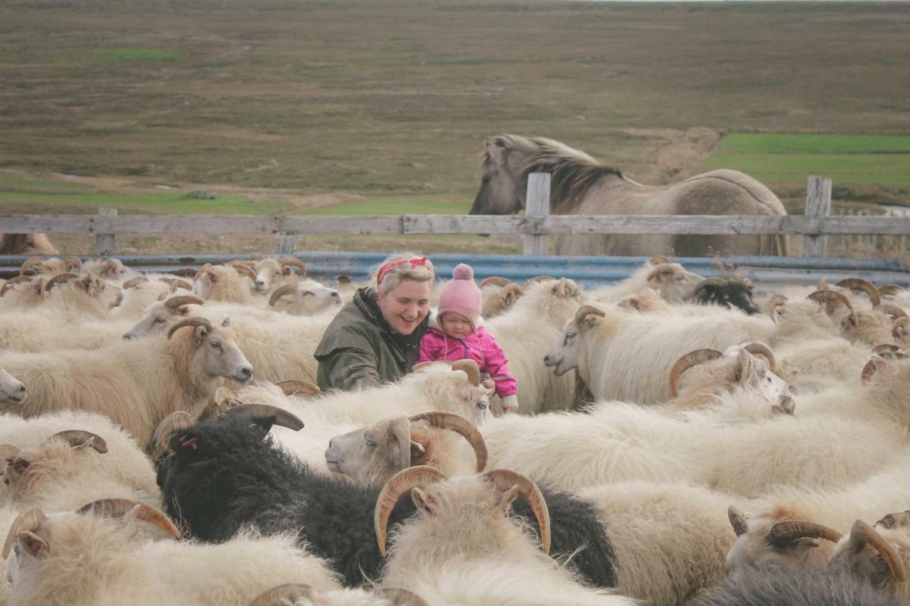 Sandur Þórshöfn Exteriér fotografie