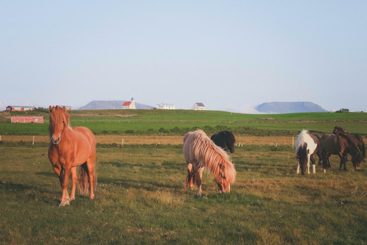 Sandur Þórshöfn Exteriér fotografie
